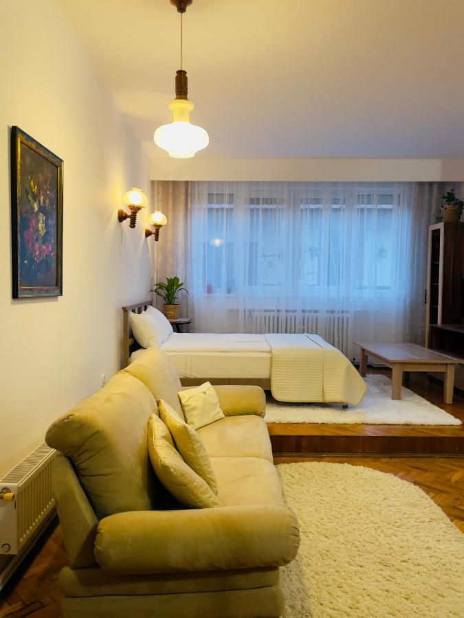 Апартаменты Little Cute Central House Сату-Маре Экстерьер фото