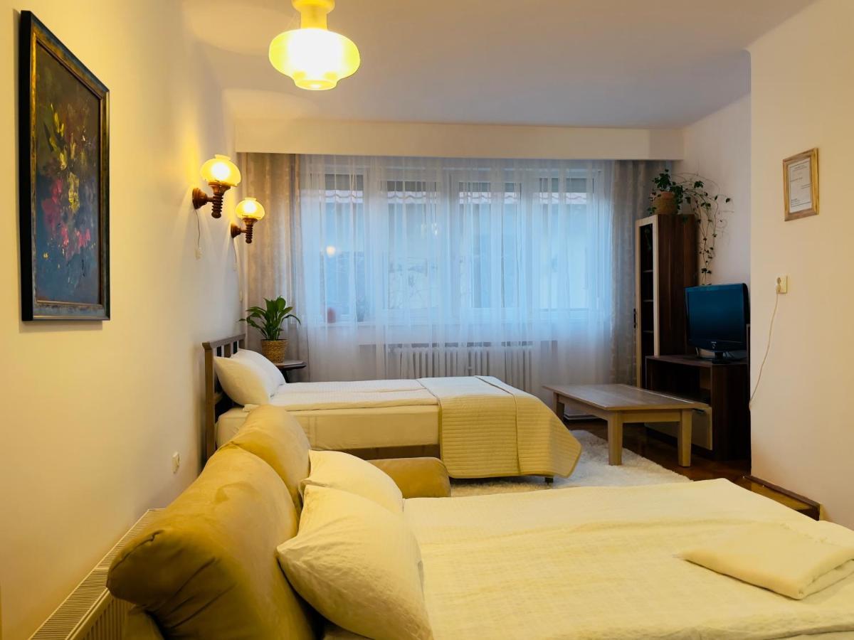 Апартаменты Little Cute Central House Сату-Маре Экстерьер фото